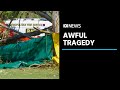 Falling tree kills adelaide woman in freak tragedy  abc news