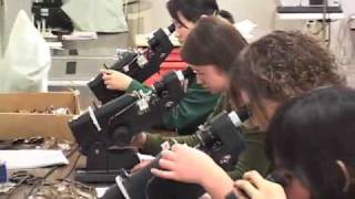 Ophthalmic Assistant