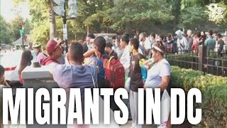Busload of Migrants dropped on Vice President's doorstep