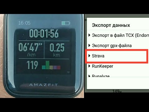 Video: Silový Tréning A Strava - Proteínový A Silový Tréning