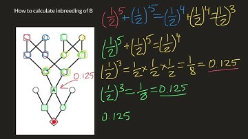Advanced inbreeding calculations