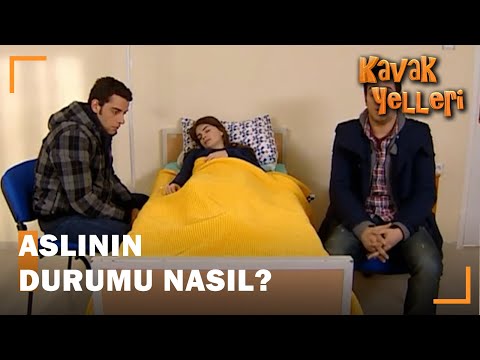 Aslıyı Buldular ! - Kavak Yelleri 148.Bölüm