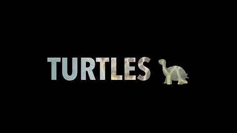 "Turtle Power" by Aman Smith