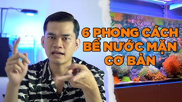 6 Phong Cách Bể Nước Mặn Cơ Bản Có Thể Bạn Chưa Biết