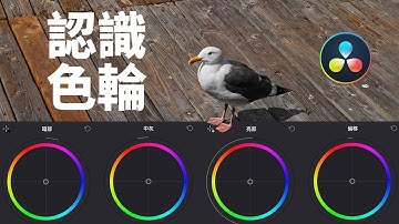 一節你必須要了解的達芬奇基礎課（四）—— 色輪