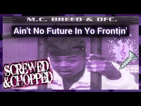 aint no future in yo frontin mc breed mp3 aint no future in yo frontin mc breed mp3
