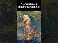 ラッコの赤ちゃん、海藻でぐるぐる巻きの理由