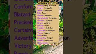 Vocabulary Words With Their Meanings Tagalog English Translation