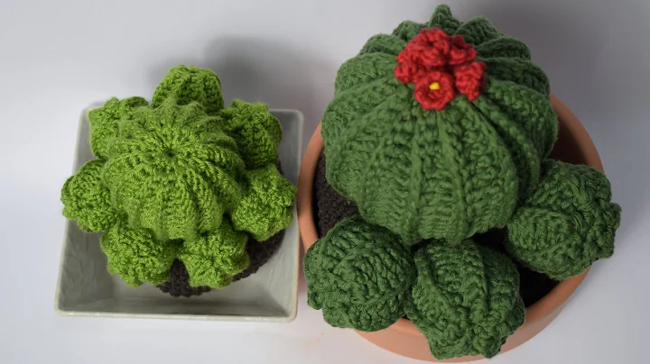Crochet Flower Cactus: Stunning Redondo Cactus with Flowers