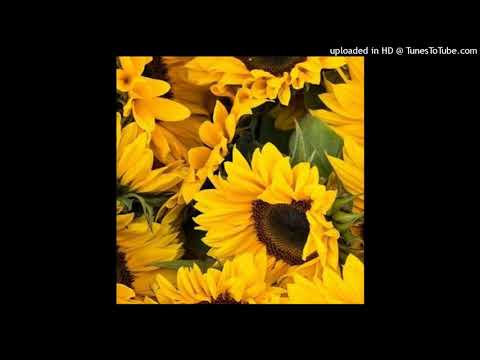 Pink Pantheress - Noticed I Cried (432hz)