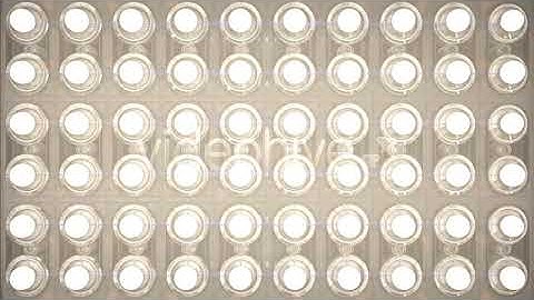 Flash Lights | Motion Graphics - Envato elements