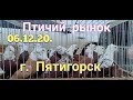 06.12.20. Птичий рынок г. Пятигорск.06.12.20. Bird market in Pyatigorsk.