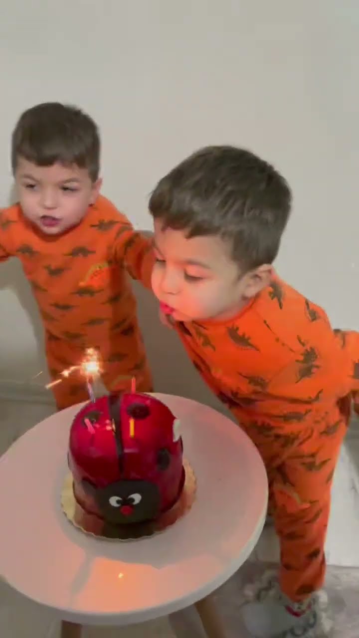 Twins Tussle Over Birthday Candle || ViralHog
