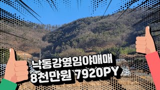 임야매매 7920평 8천만원 함안군 대산면 낙동강 둘레길 옆 경관좋은 땅 임업용 도로 접함