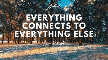 Yann Dengler - Everything Connects to Everything Else (Music Video)