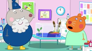 Peppa And Friends 🐹 Doctor Hamster's Big Present 🐷 Peppa Pig Full Episode