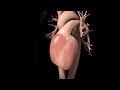 Heart Failure Overview