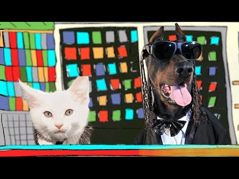 PSY - HANGOVER feat. Snoop Dogg (with kittens and dogs)