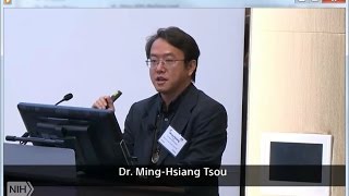 Dr. Tsou's presentation, 'Twitter & Social Media in Public Health', at a NIH meeting