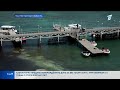 День Каспийского моря: Казахстан усиливает меры по сохранению уникальной экосистемы