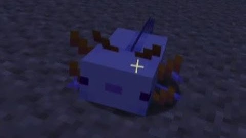 How to Summon the Blue Axolotl in Minecraft Java and Education Edition
