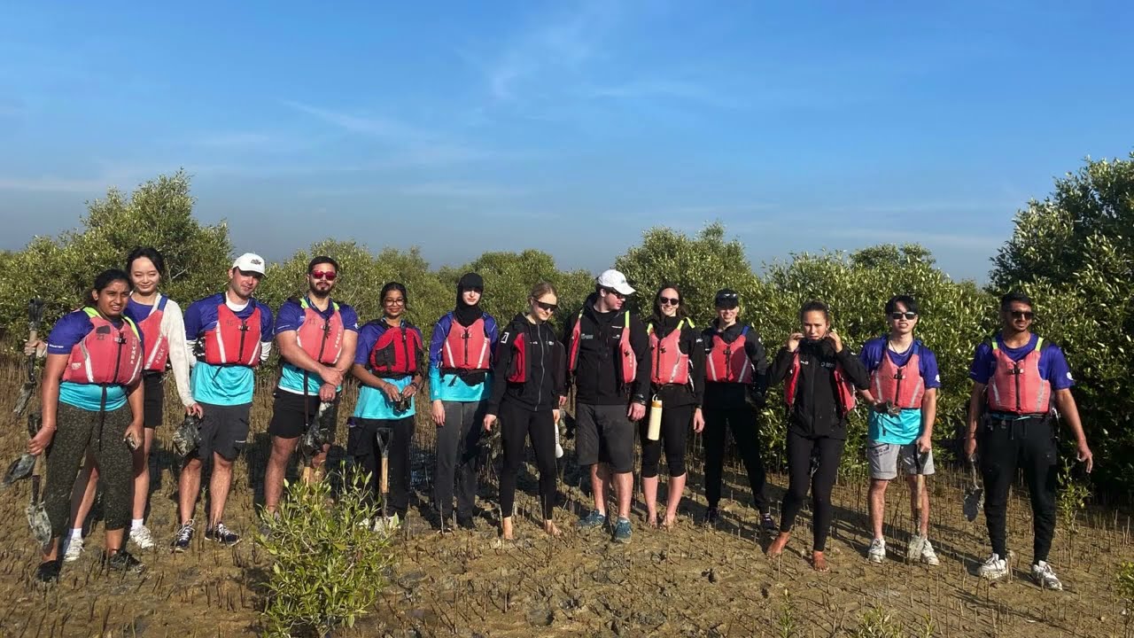 Goumbook x SailGP | Mangrove planting | Abu Dhabi | 2024 01 11