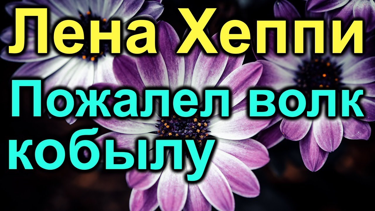 Лена Хеппи. Пожалел волк кобылу, оставил хвост да гриву - YouTube