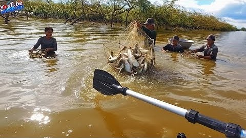 3 ngày đi câu cá mùa lũ – kết quả bất ngờ khiến ai cũng phải cười