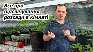 Скільки годин на добу підсвічувати розсаду, щоб вона не потягнулась.