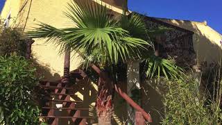 Mallorca Finca Hotel C An Bota