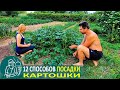 Посадка картофеля 12 способами 🌿 Эксперименты и технологии Гордеевых