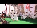 برع يمني على شيلات حماسيه