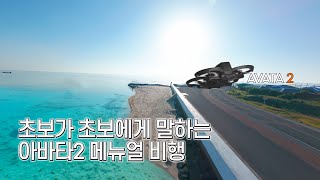 DJI 아바타2 초보가 초보에게 전하는 메뉴얼 비행 연습 공유