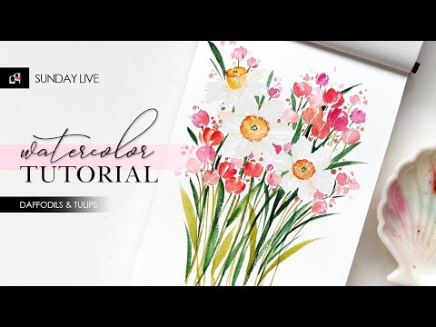 Video: Tulip, jasmine daffodil?