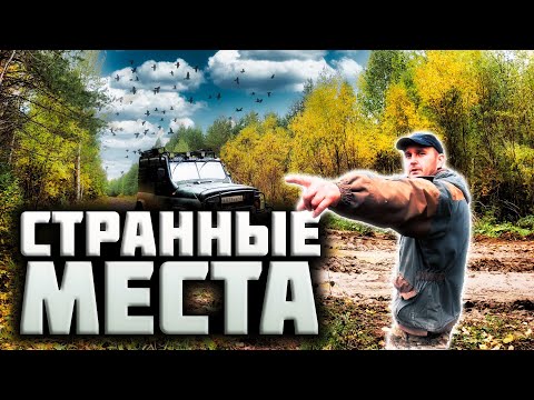 Очень странные места. Первый раз вижу такое урочище.