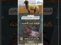 كيفية ذبح الأضحية للشيخ محمد بن صالح العثيمين رحمه الله تعالى 