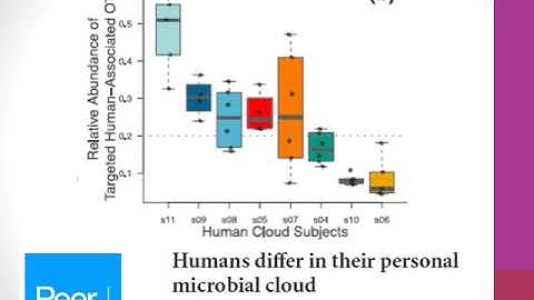 BIO 304 Microbe Human Interactions Ch 13