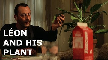 Leon and his plant (all scenes) - Léon: The Professional (1994)