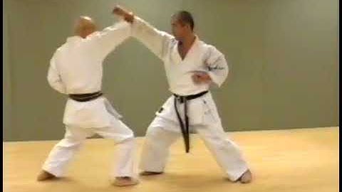 Wado Ryu Karate-do  Techiniques 6-4 kyu v1