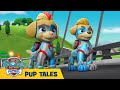 🐶 Mighty Pups Super Paws: Pups Meet the Mighty Twins | PAW Patrol | Cartoons for Kids