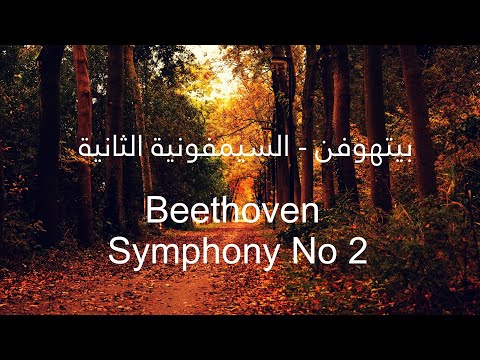 Beethoven Symphony No 2 بيتهوفن السيمفونية الثانية