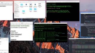 0007-04 React: Componentes Controlados