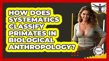 How Does Systematics Classify Primates In Biological Anthropology? - Anthropology Insights