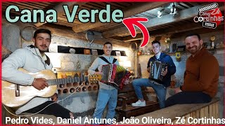 CANA VERDE QUADRAS SOBRE AS MULHERES com Daniel Antunes, João Oliveira, Pedro Videos e Zé Cortinhas