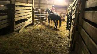 M4V00529.MP4