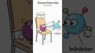 Competitive vs Non-Competitive Inhibition Explained Easy | Enzyme Inhibition | CSIR NET