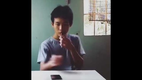 Cat playing xylophone