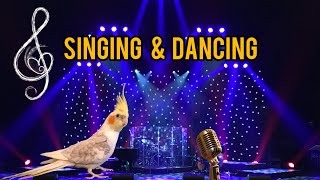 Singing & Dancing 🦜+🎤+💃