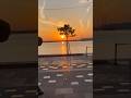 sunrise's beach vibes #travel #fly #love #shortvideo #shorts #anilchef #explore👨‍🍳#supportme