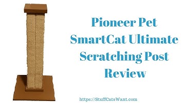 Pioneer Pet SmartCat Ultimate Scratching Post Review
